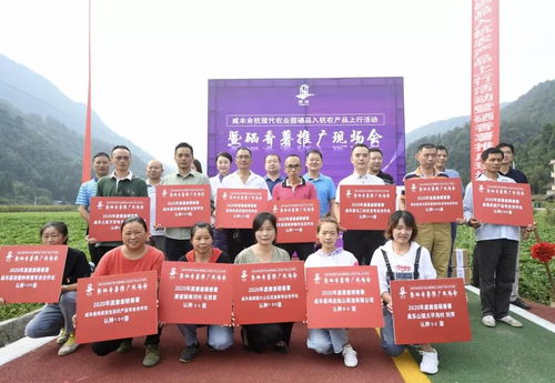 东西部扶贫协作丨2020包硒施香薯干 回家过年