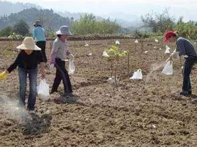 秋施基肥的重要性与“五改”施肥方法解析