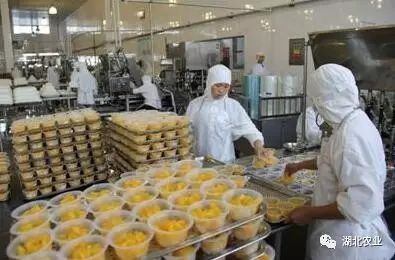 湖北出台《进一步促进农产品加工业发展的意见》 推动农业产业升级