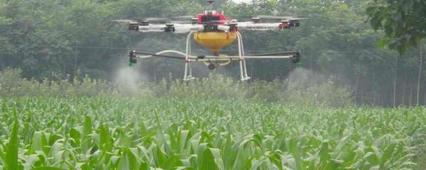 多菌灵的作用及正确施用方法