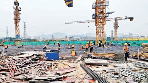 大湾区“超级菜篮子”全面复工，预计年底建成投用