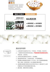 施悦名系带领刺绣真丝衬衫 2019春秋时尚精品女装