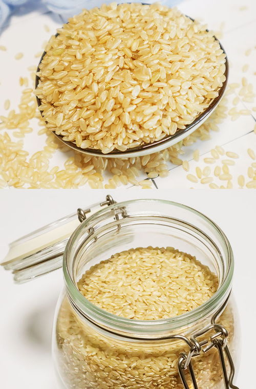 施为施恩施精品糙米 350g真空袋装，健康粗粮新选择