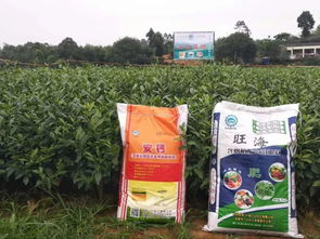 专注品质，放心施为——一心产品助您安心前行